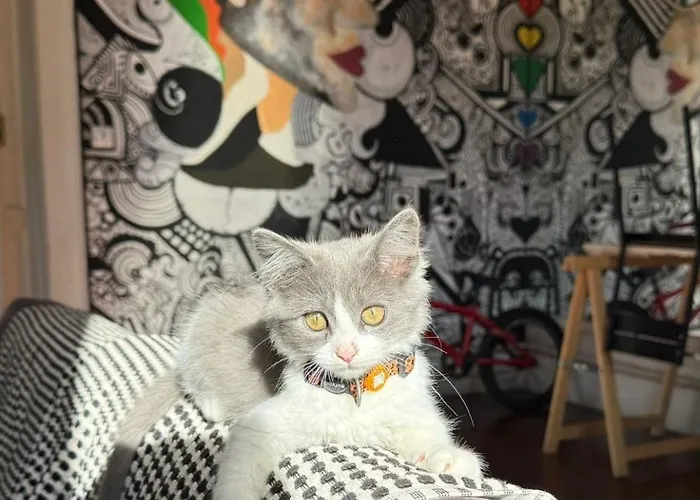 Albergue Dona Rose Old Town Las Palmas de Gran Canárias