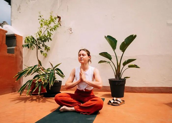 Dona Rose Old Town Hostel *